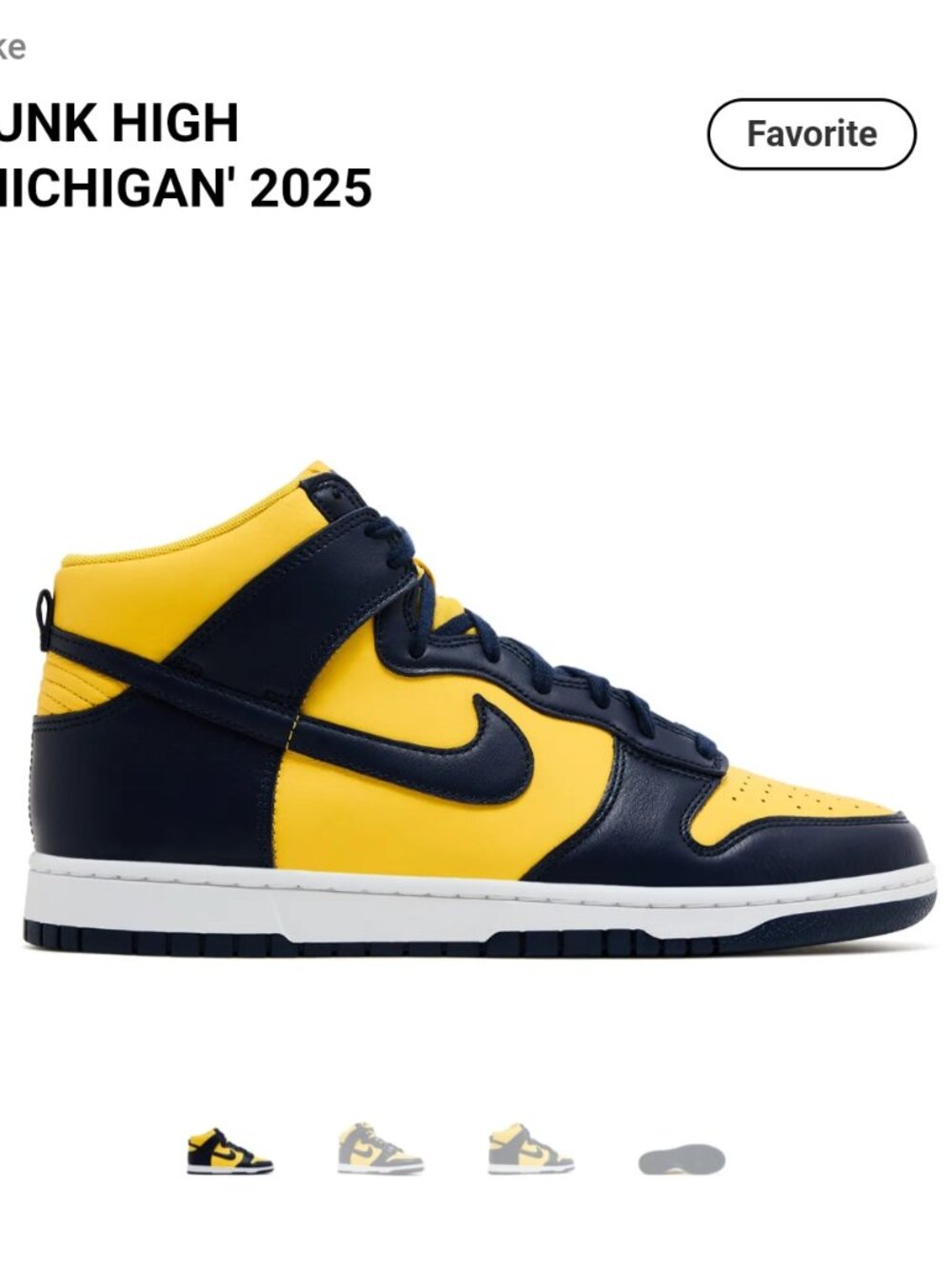 Mens Nike Dunk High Retro SE Shoes, Used